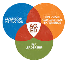 FFA AG ED module diagram