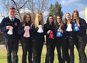 seven FFA students with ribbons