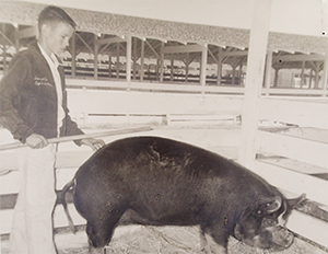 black and white picture of a young FFA student and a pig